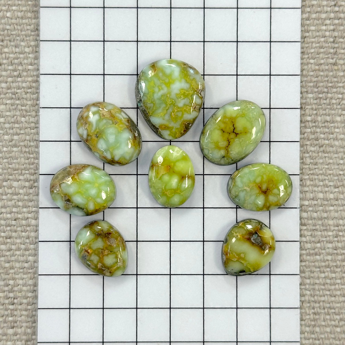 Palomino Cabochon Set