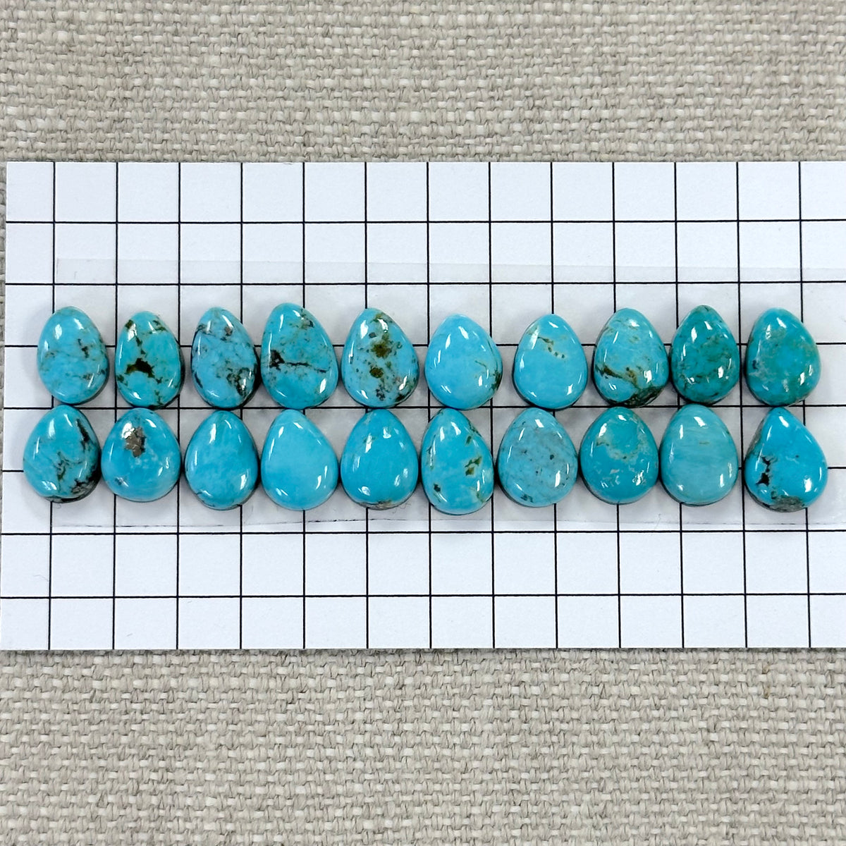 Nevada Tonopah Cabochon Set-- 20 pc