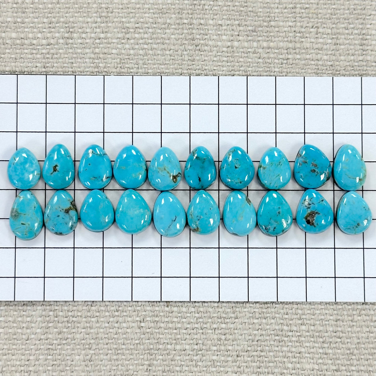 Nevada Tonopah Cabochon Set-- 20 pc