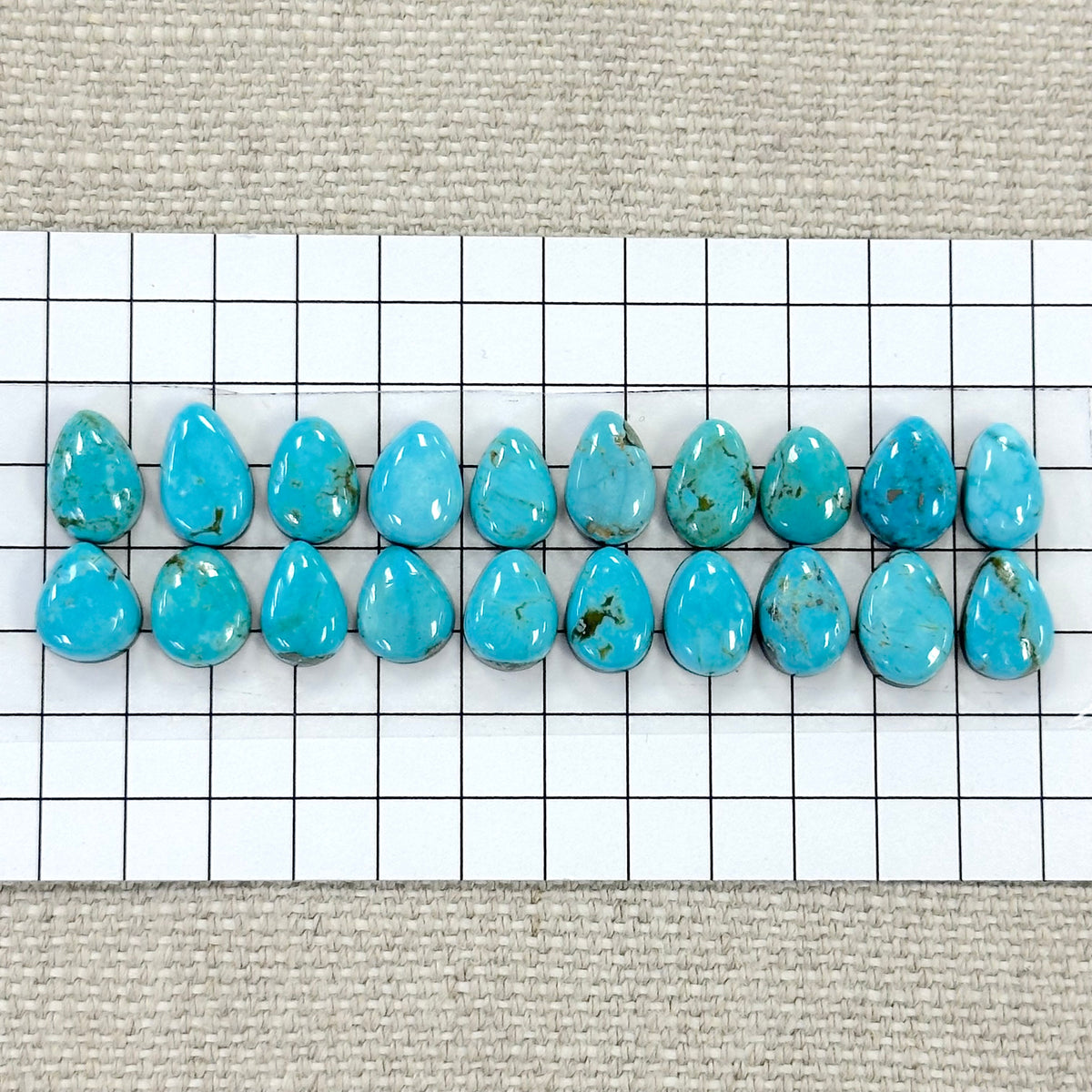 Nevada Tonopah Cabochon Set-- 20 pc