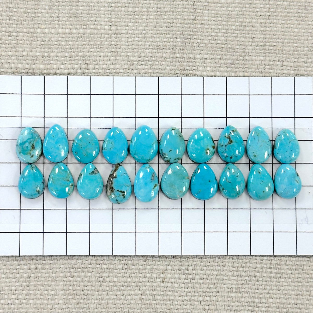 Nevada Tonopah Cabochon Set-- 20 pc