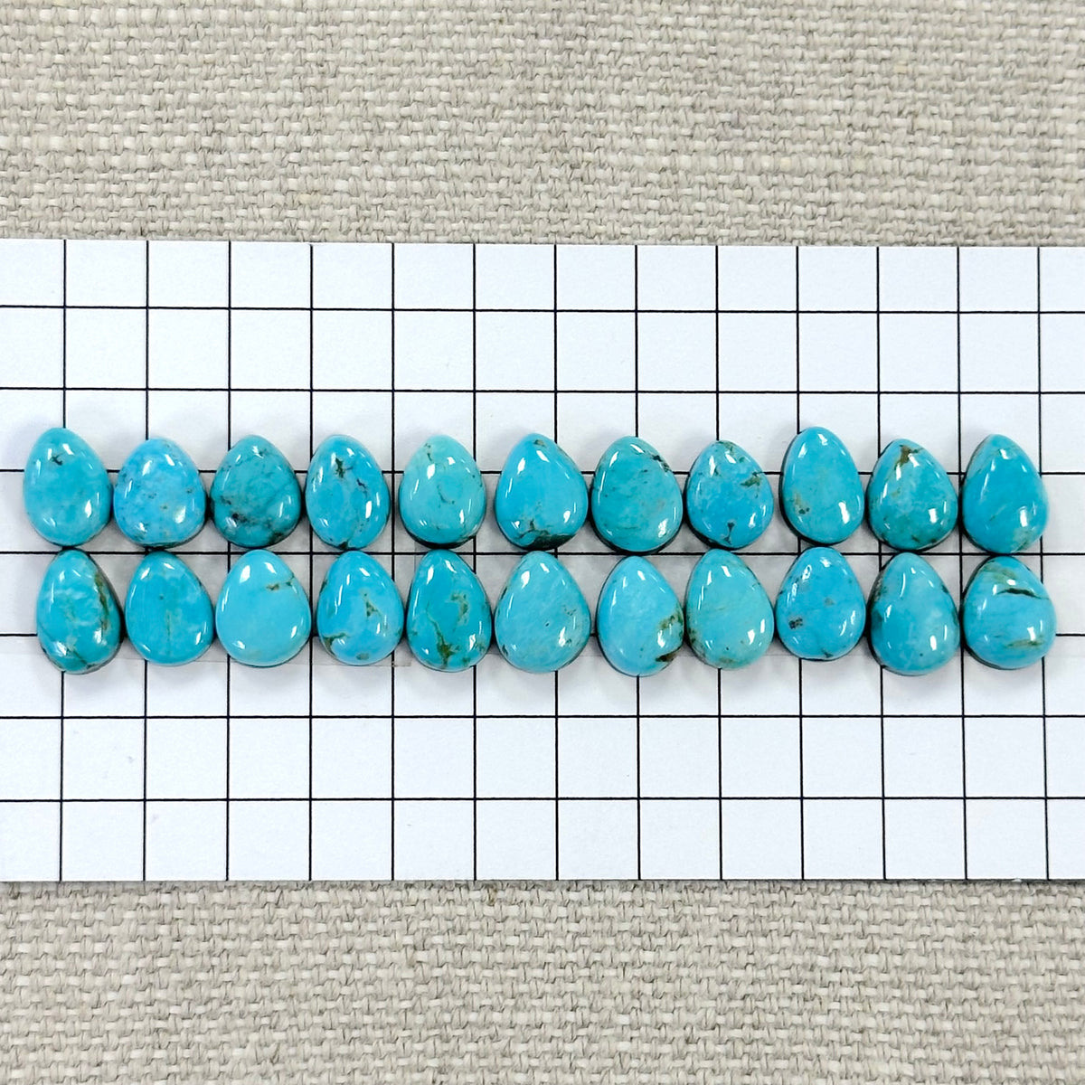 Nevada Tonopah Cabochon Set-- 22 pc