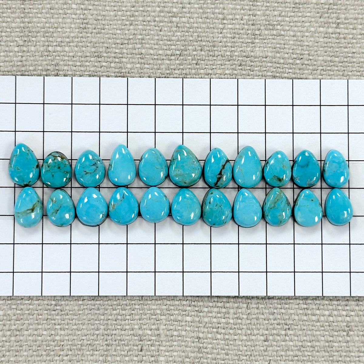 Nevada Tonopah Cabochon Set-- 22 pc