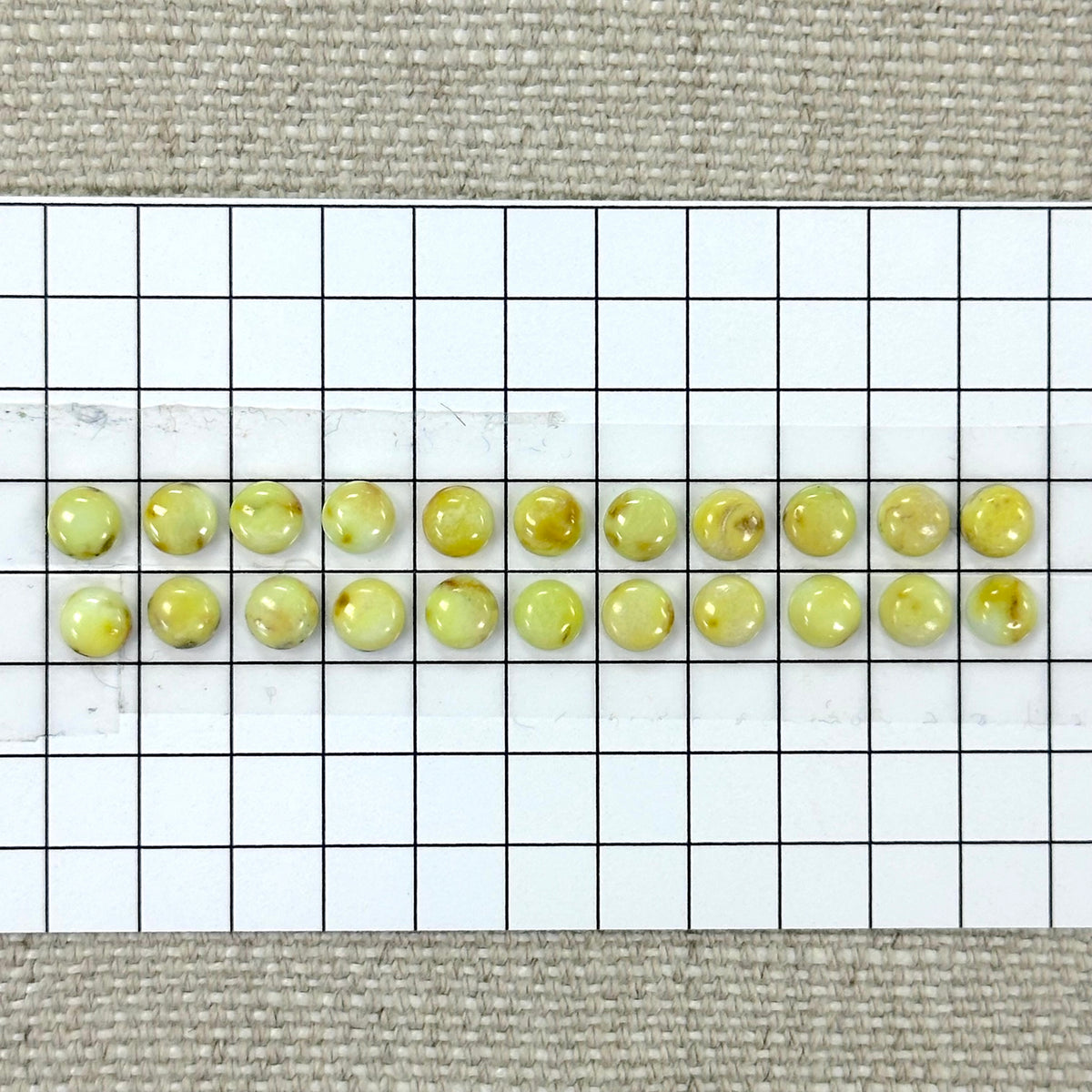 Palomino Calibrated Cabochon Set-- 22 piece