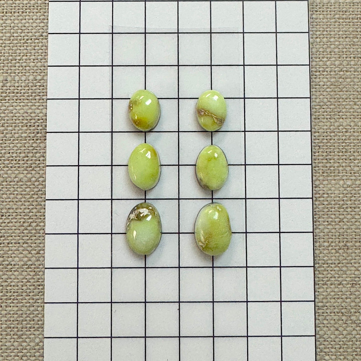 Palomino Cabochon Set