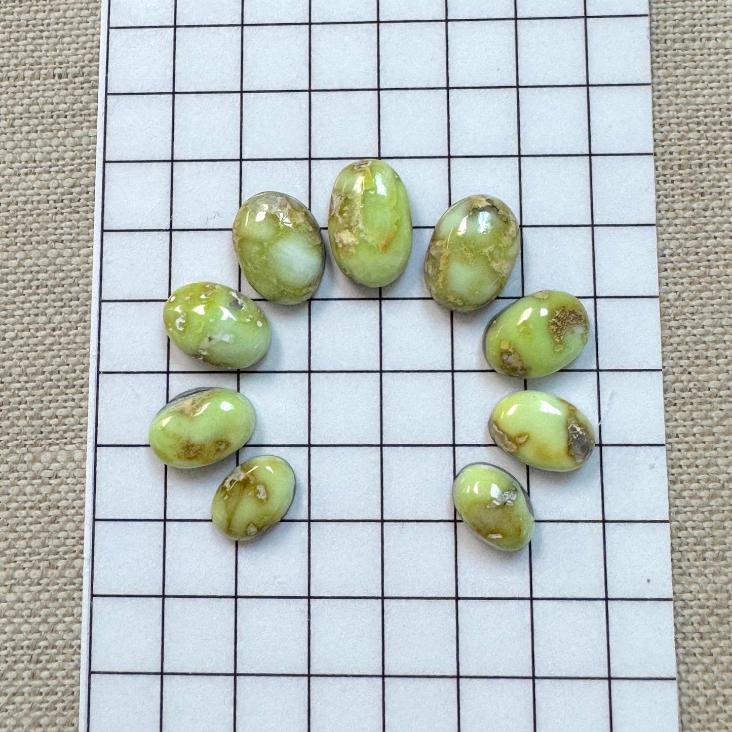 Palomino Cabochon Set
