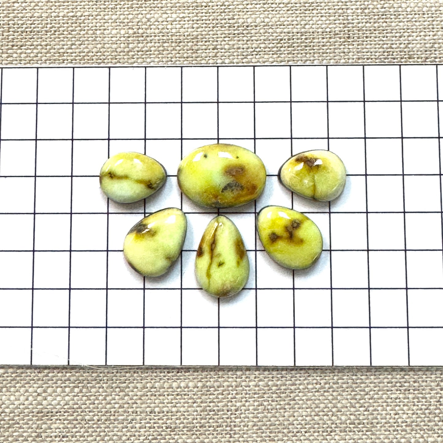Palomino Cabochon Set