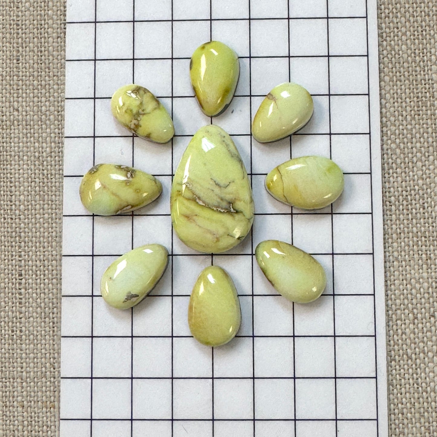 Palomino Cabochon Set