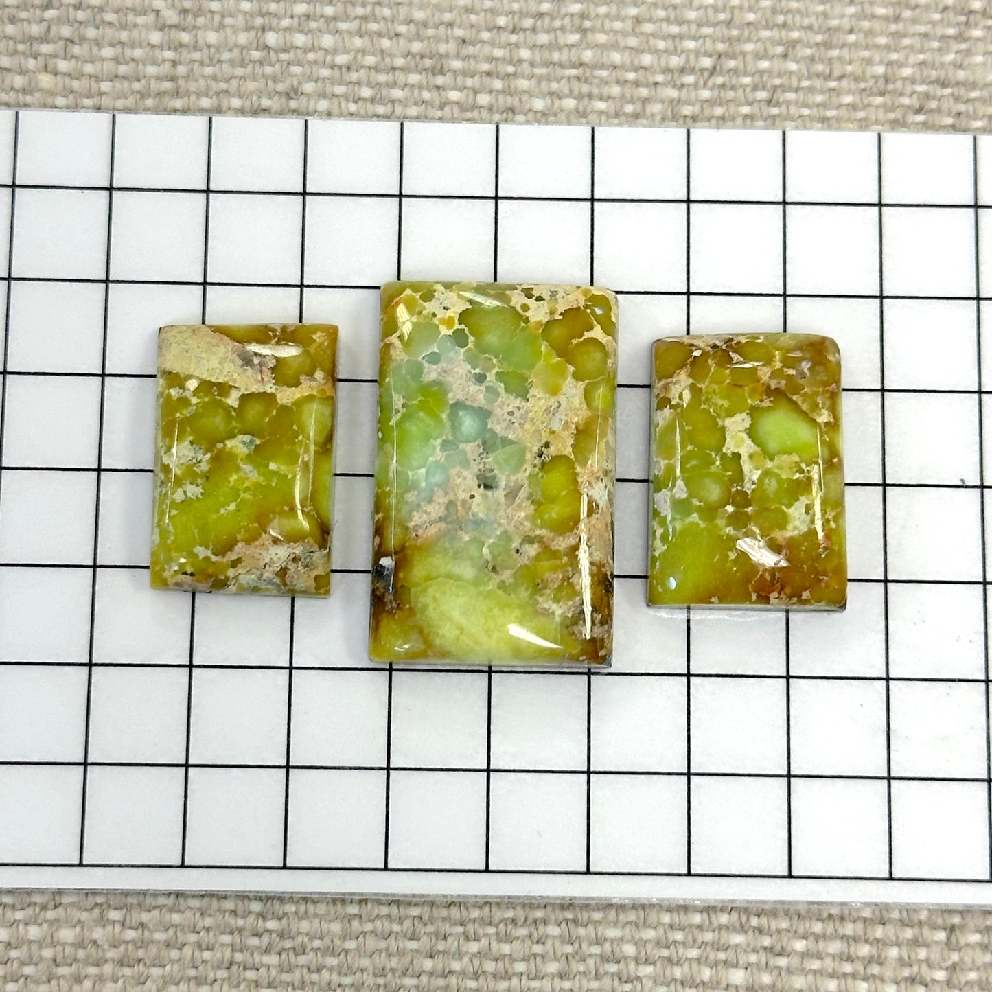 Palomino Cabochon Set