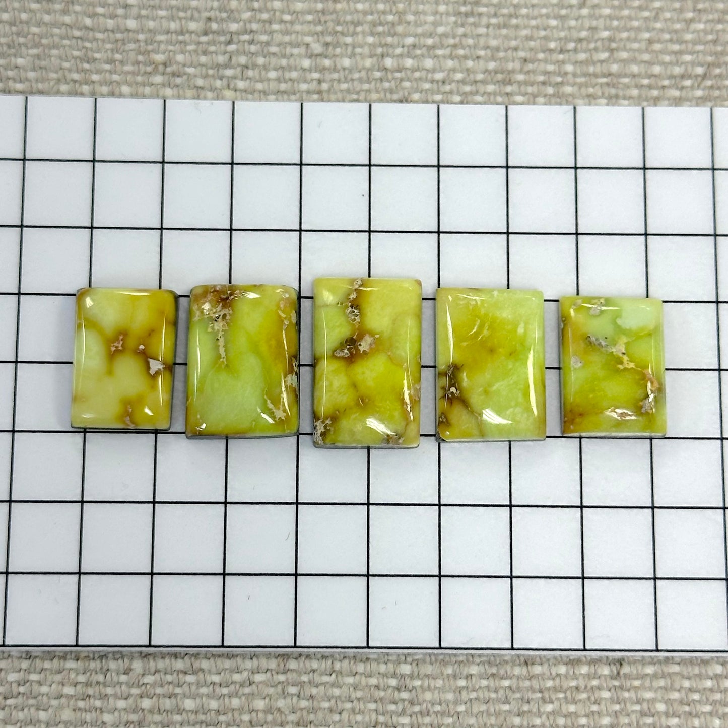 Palomino Cabochon Set