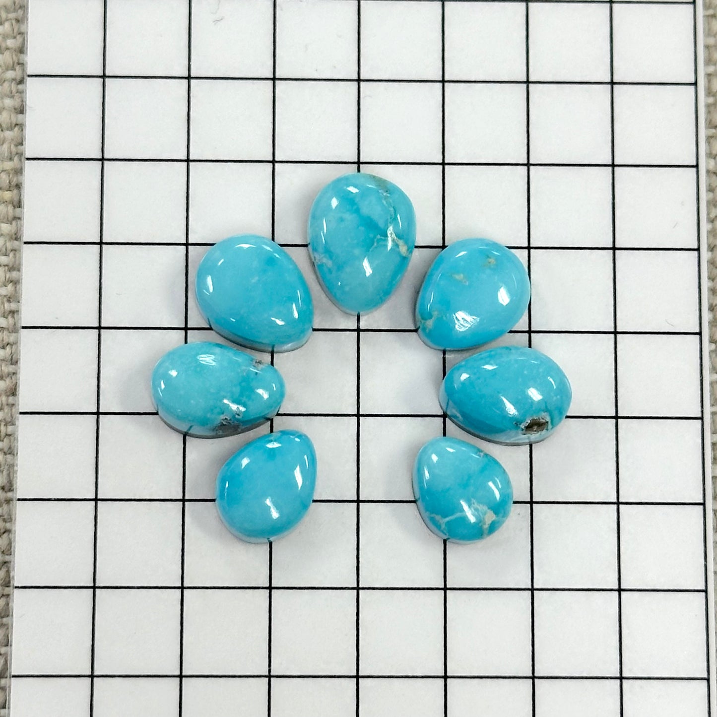 Bluebird Turquoise Cabochon Set