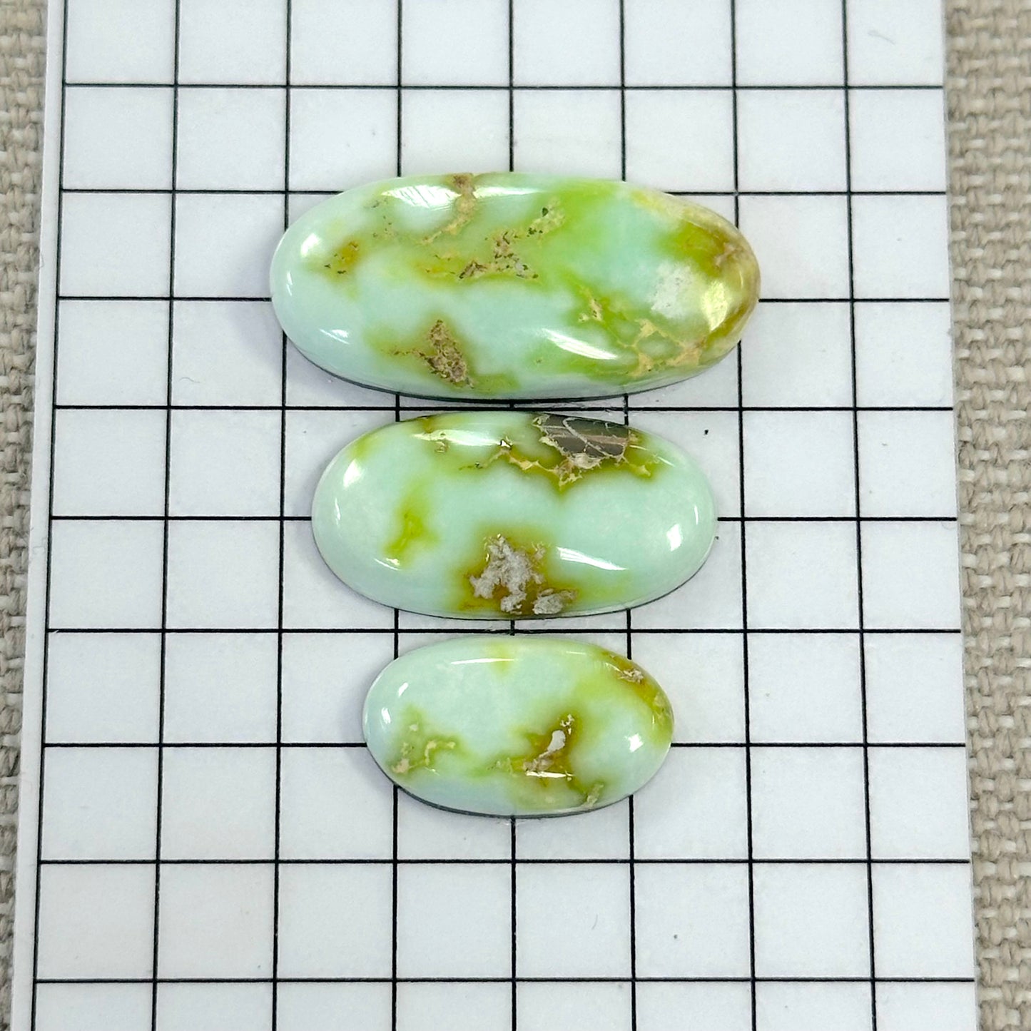 Palomino Cabochon Set