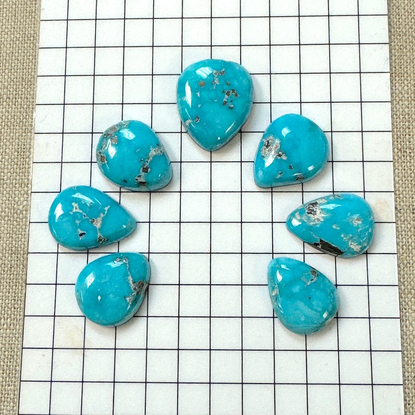 Bluebird Turquoise Cabochon Set