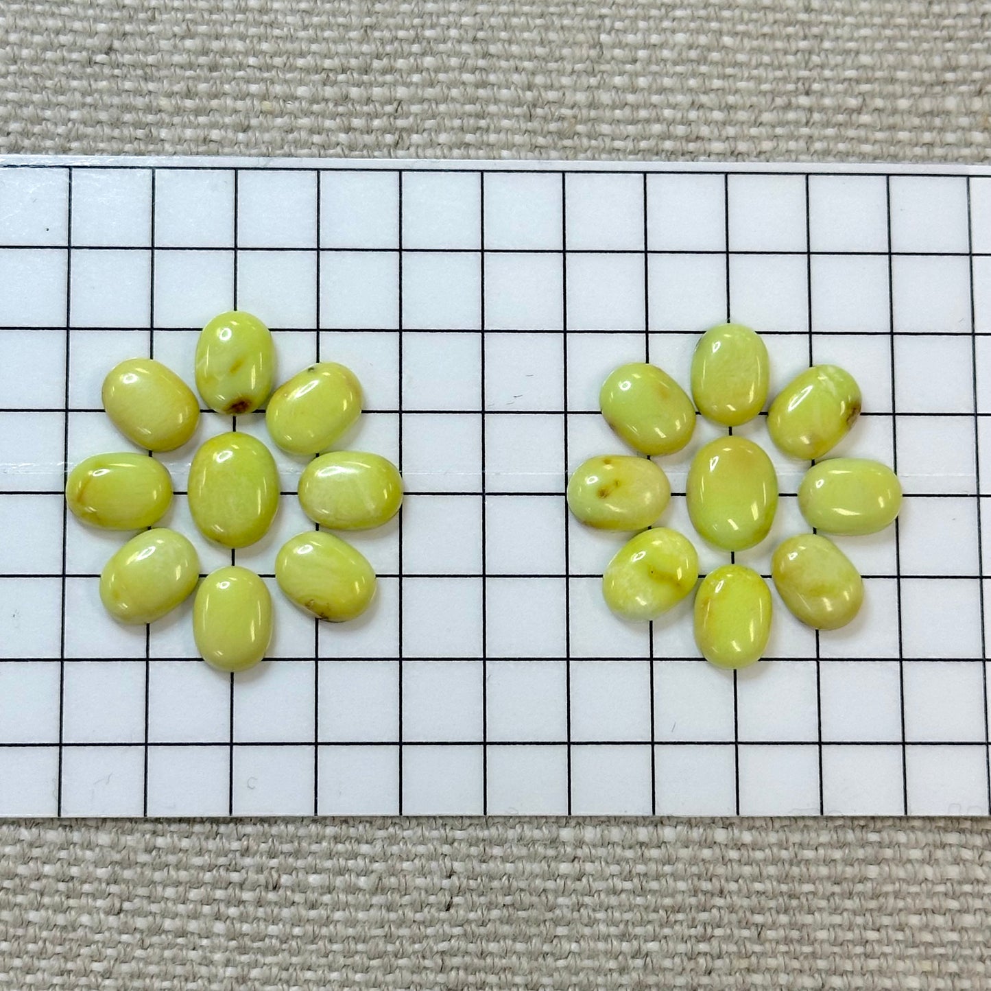 Palomino Calibrated Cabochon Set