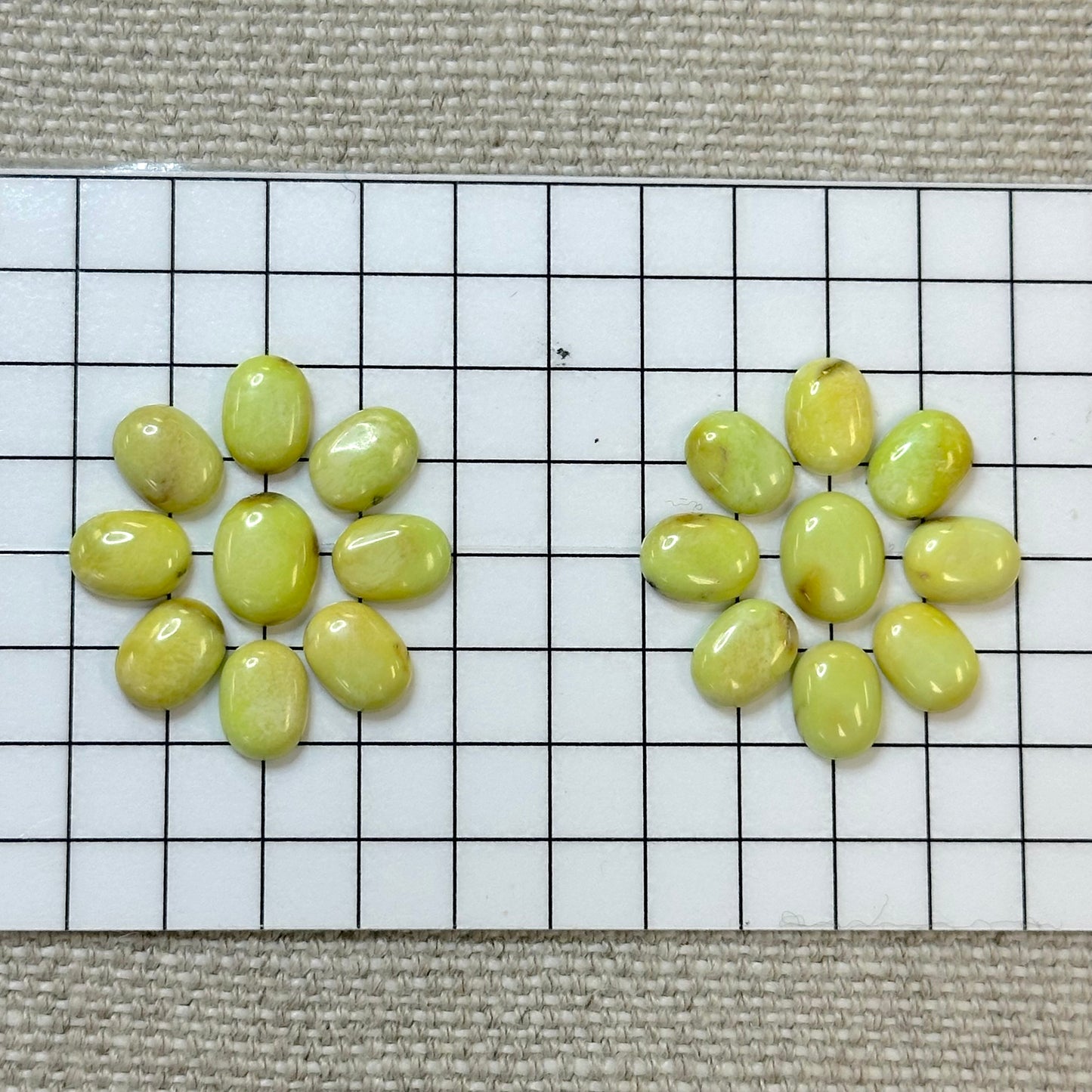 Palomino Calibrated Cabochon Set