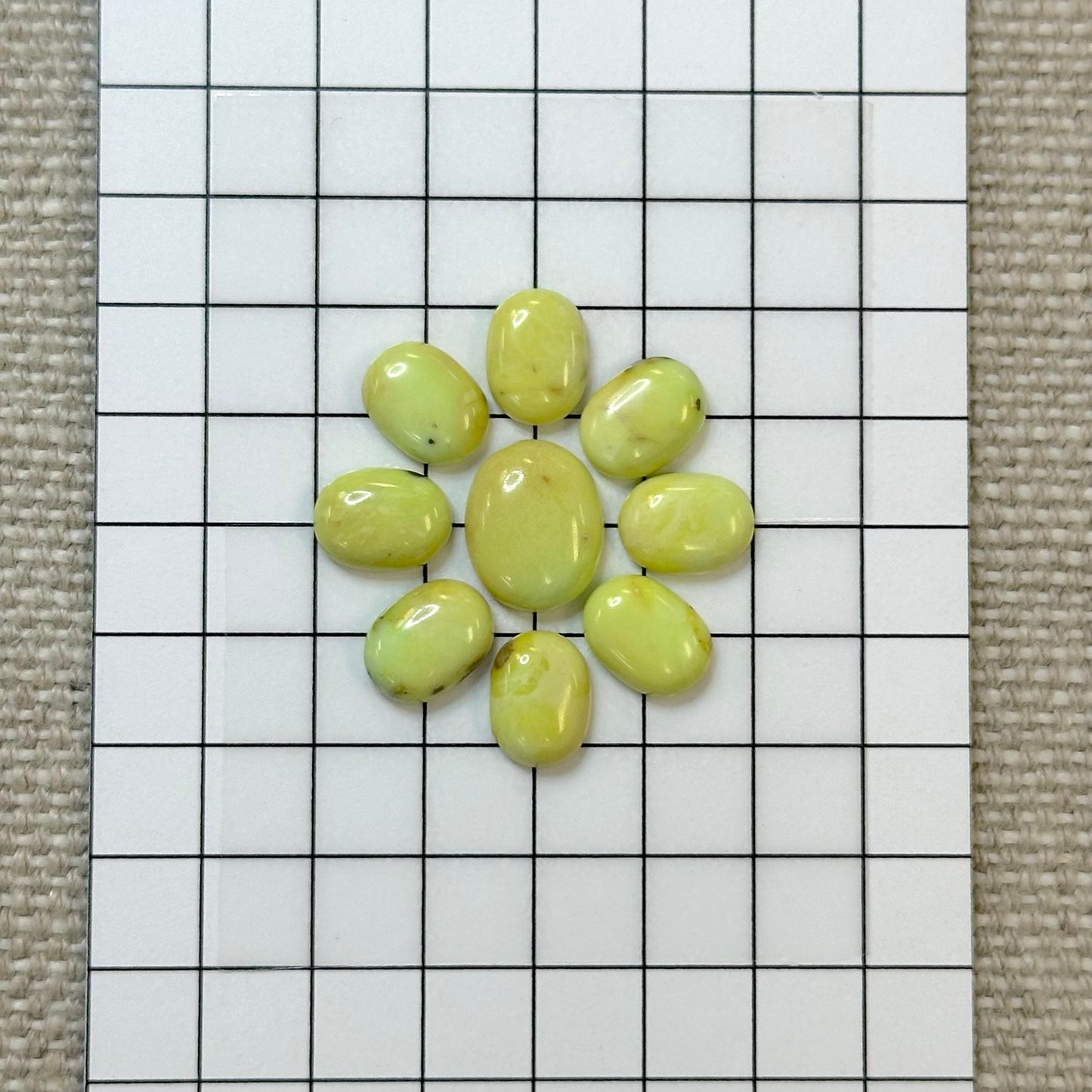 Palomino Calibrated Cabochon Set