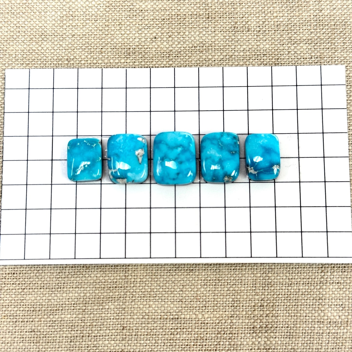 Bluebird Turquoise Cabochon Set