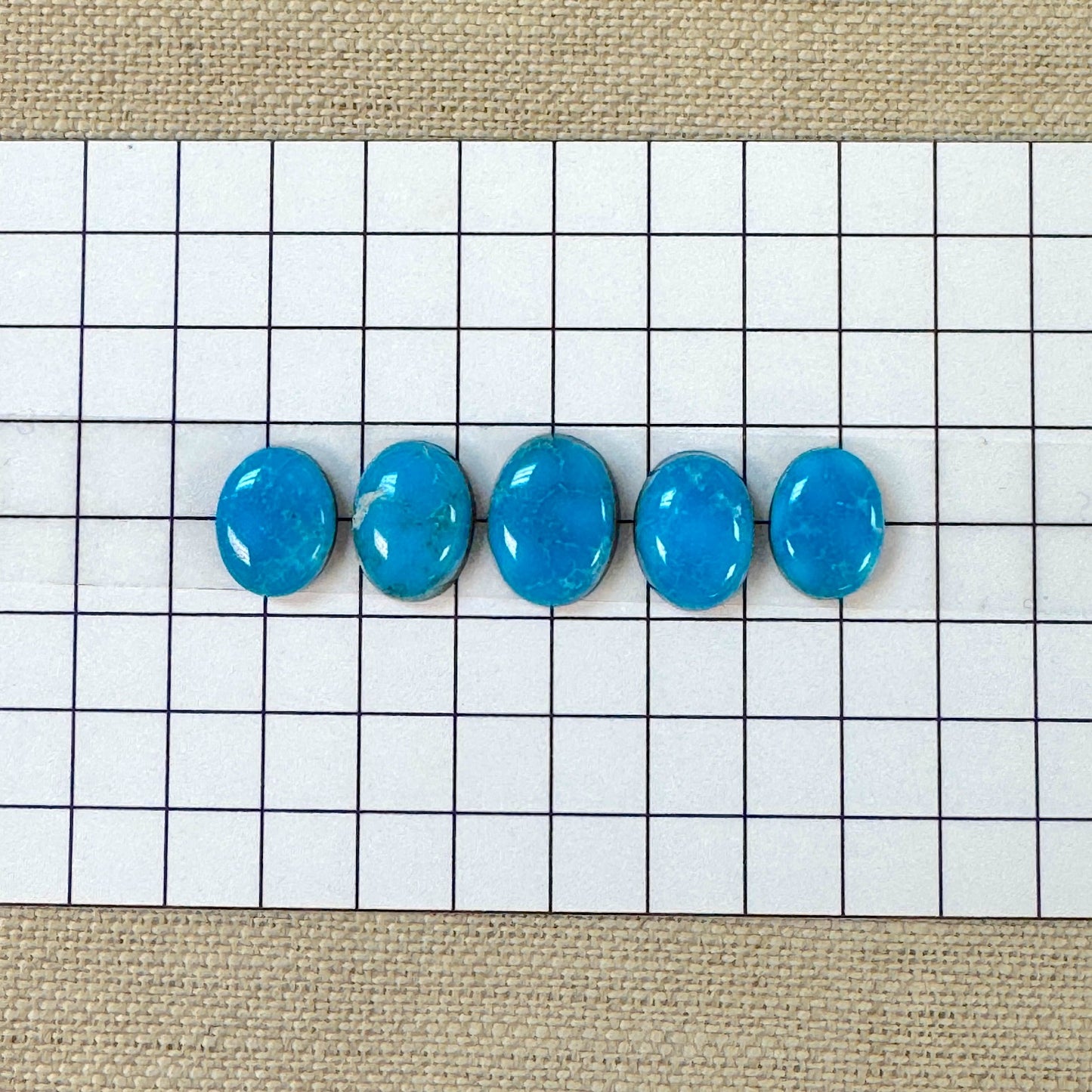 Kingman Ithaca Turquoise Cabochon Set