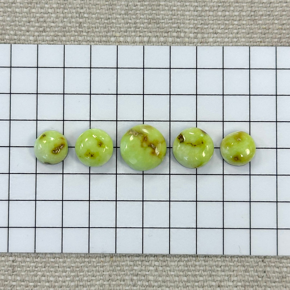 Palomino Cabochon Set