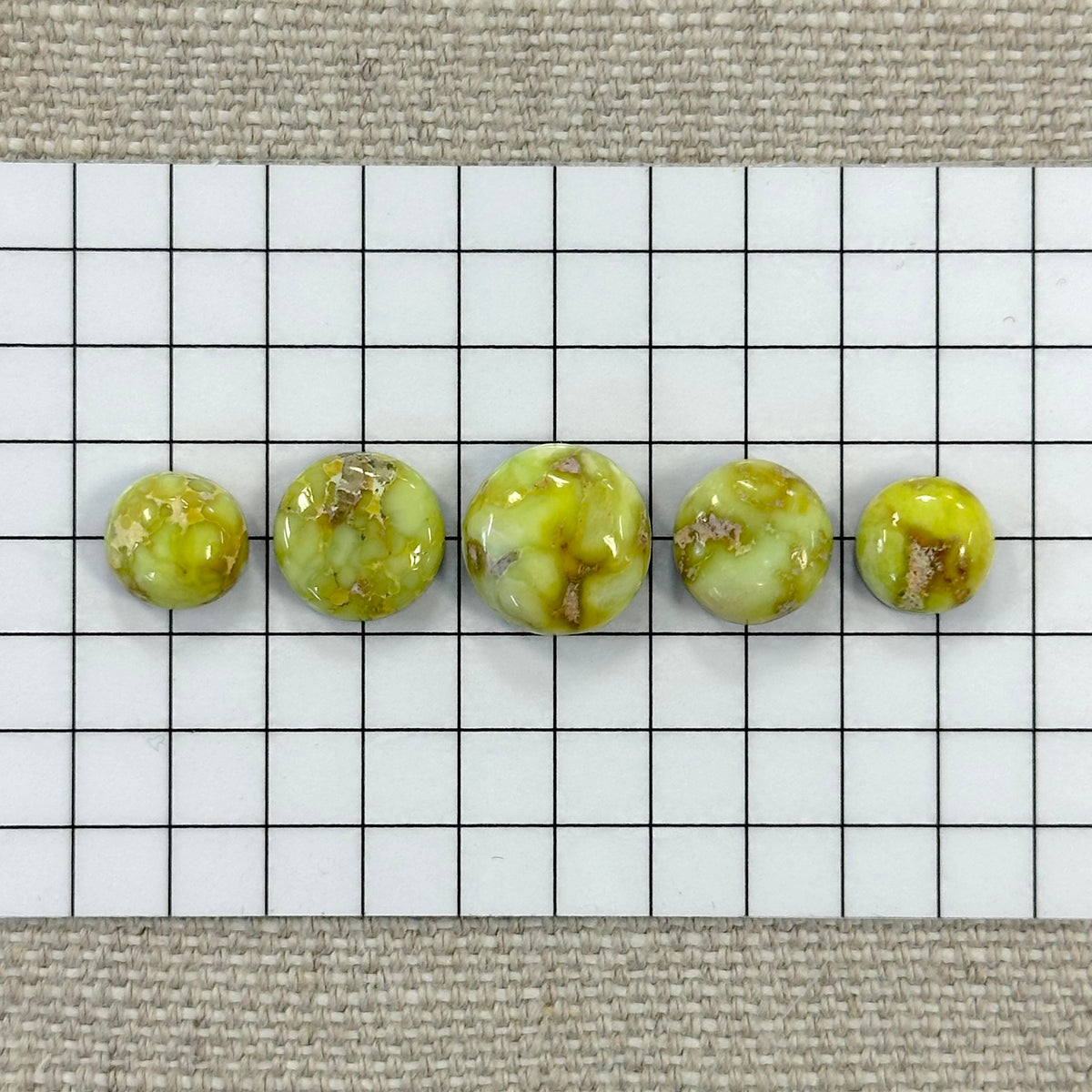 Palomino Cabochon Set