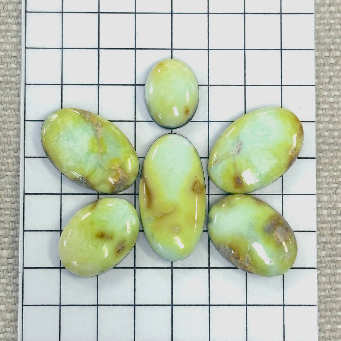 Palomino Cabochon Set