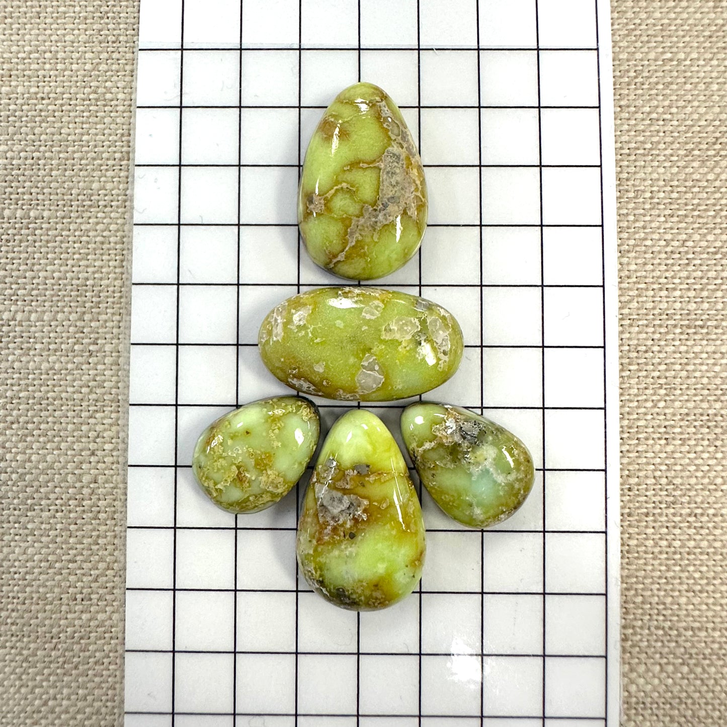 Palomino Cabochon Set
