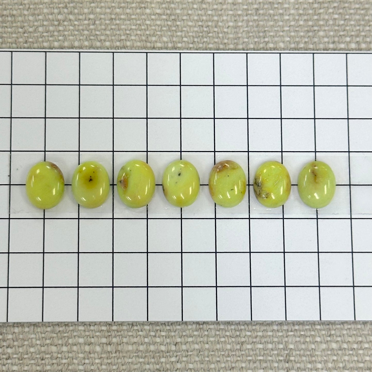 Palomino Calibrated Cabochon Set