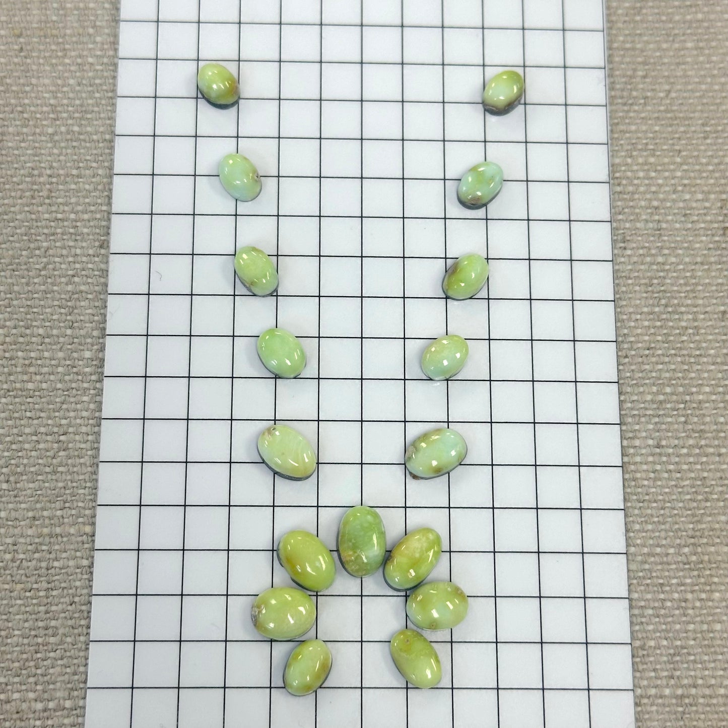 Palomino Cabochon Set