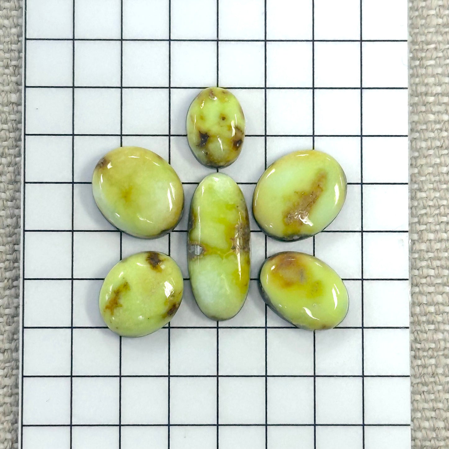 Palomino Cabochon Set