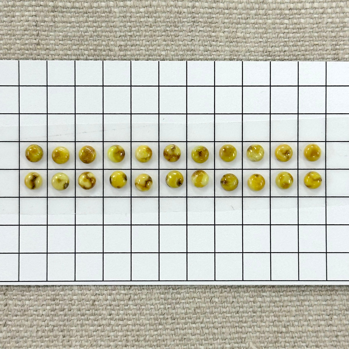 Palomino Calibrated Cabochon Set--22 piece