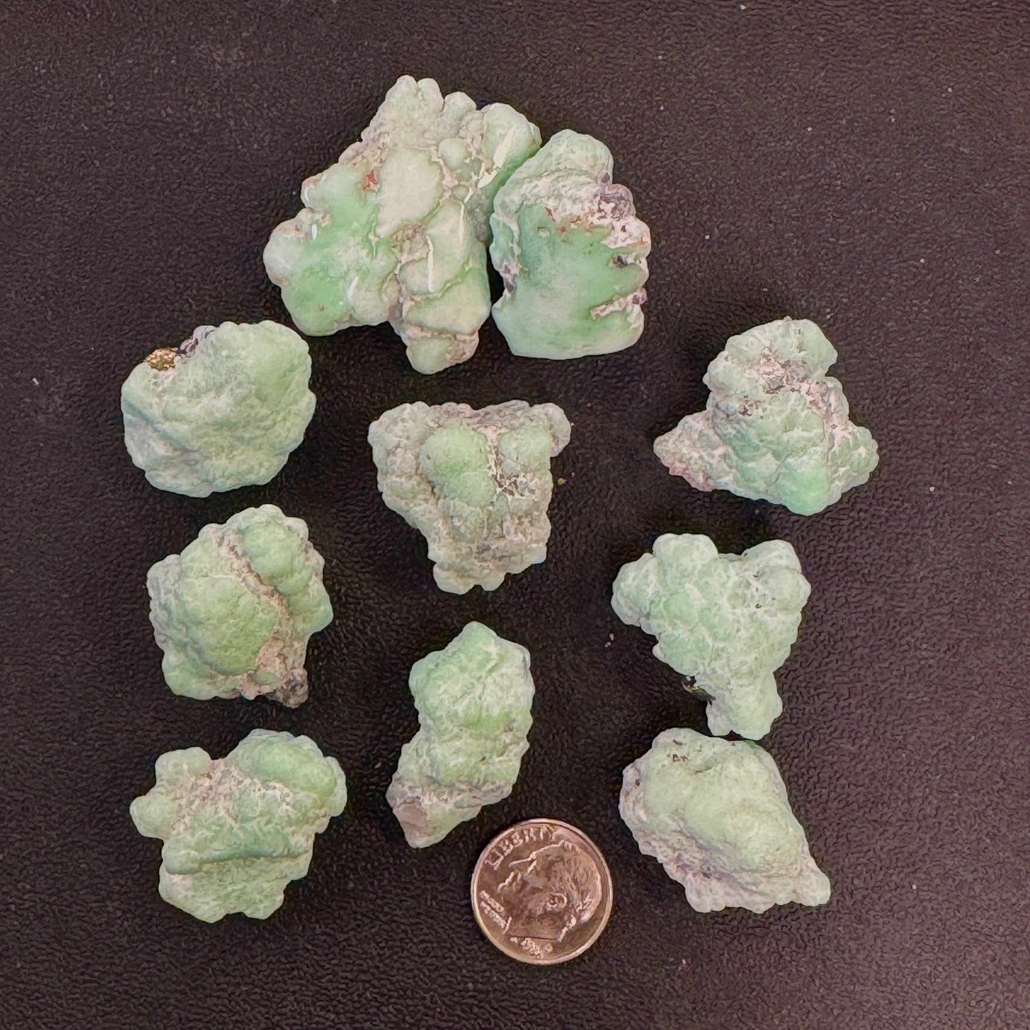 Paloma Rough -- 100 grams