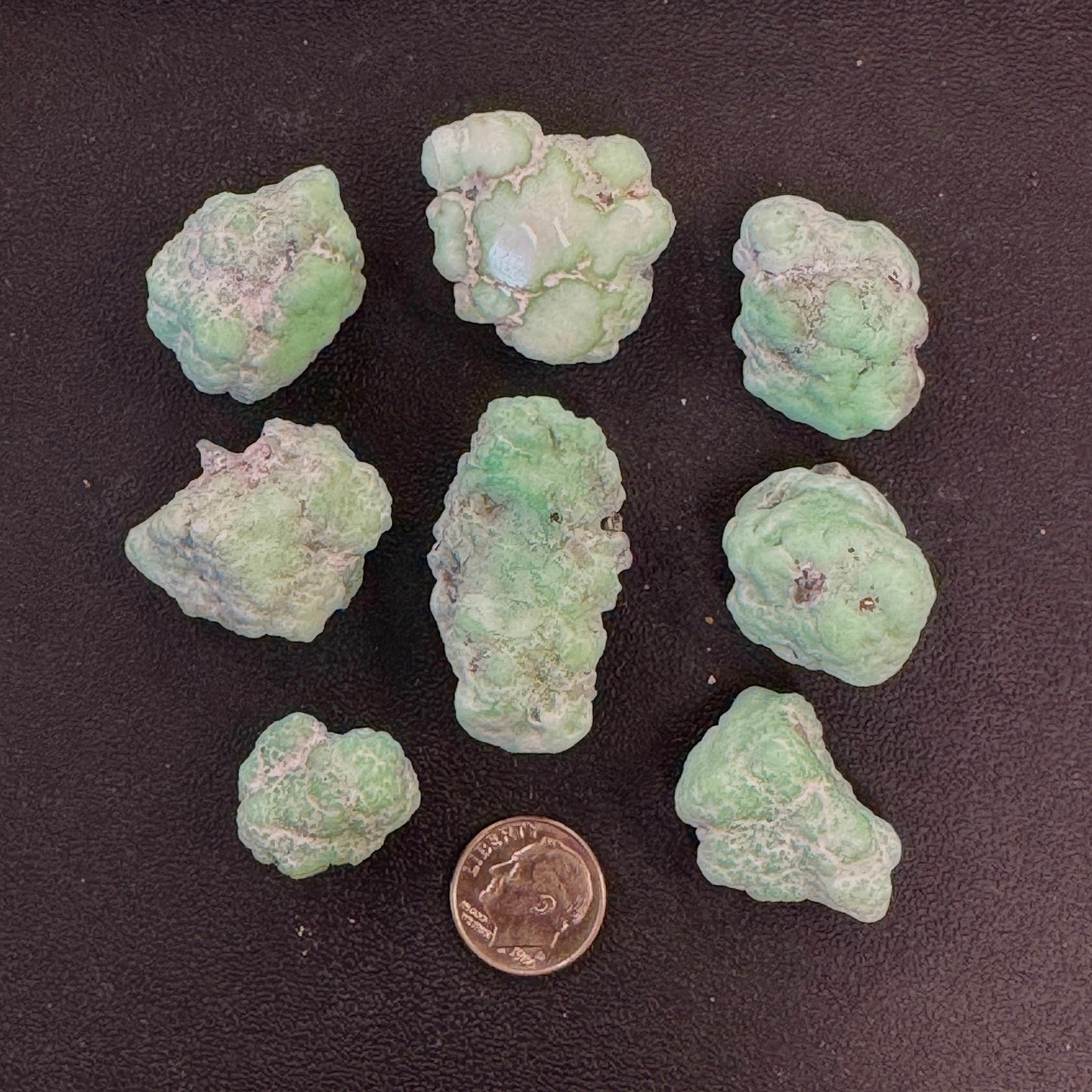 Paloma Rough -- 100 grams
