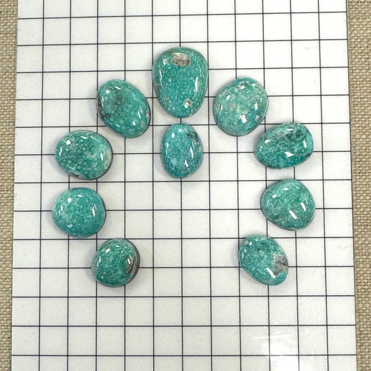 White Water Turquoise Cabochon Set