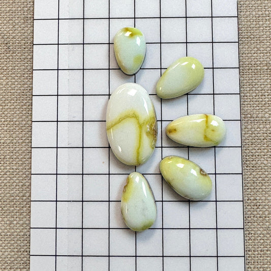 Palomino Cabochon Set