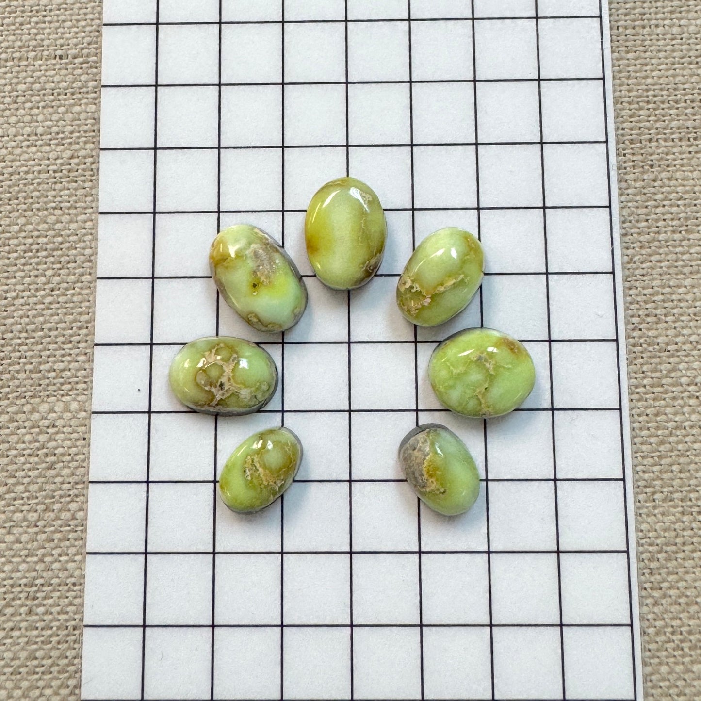 Palomino Cabochon Set