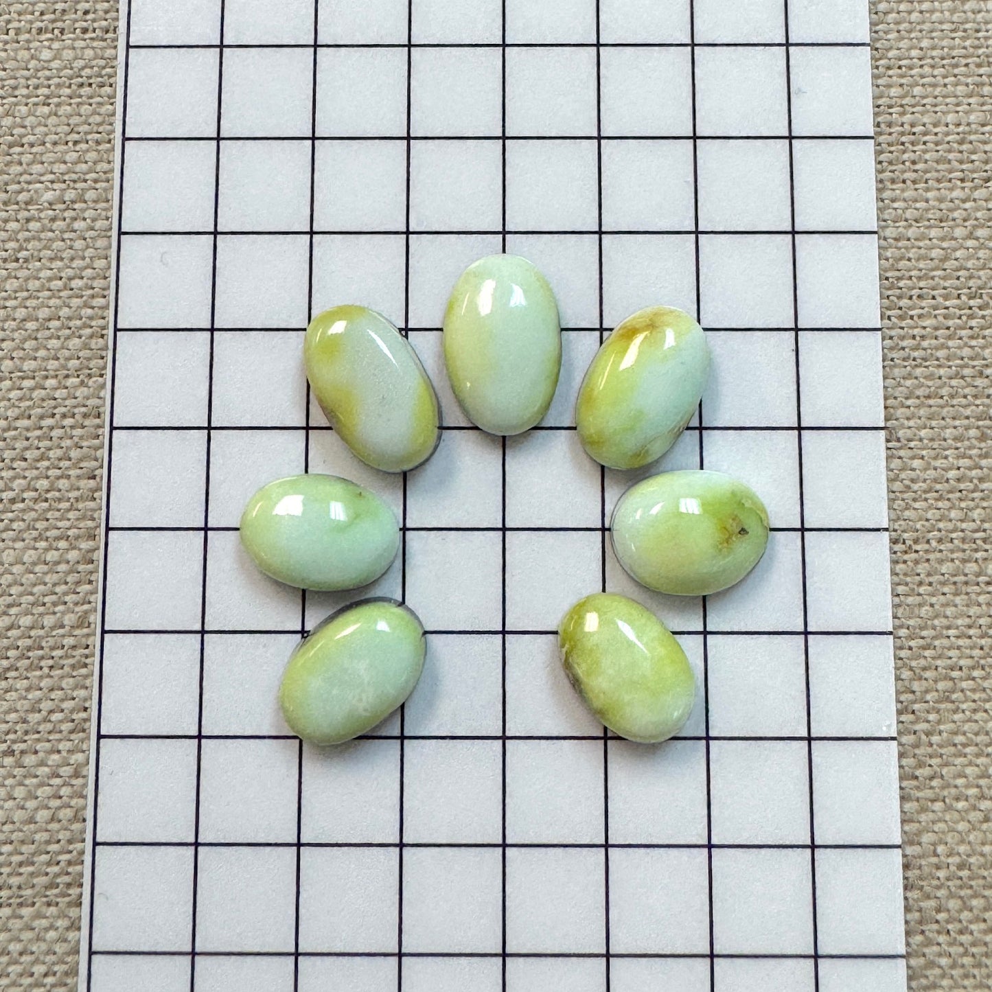 Palomino Cabochon Set
