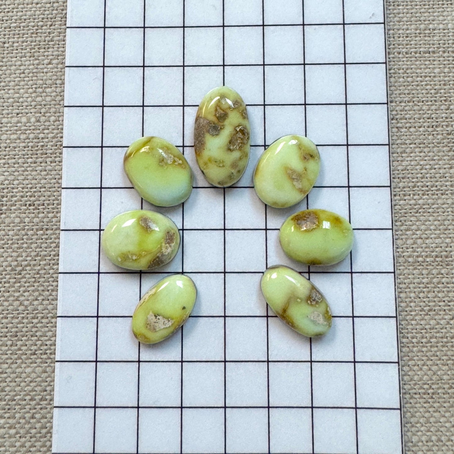 Palomino Cabochon Set