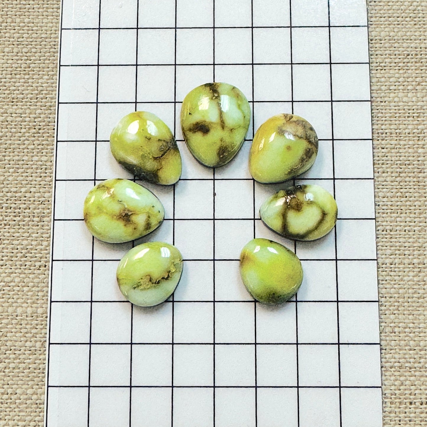 Palomino Cabochon Set