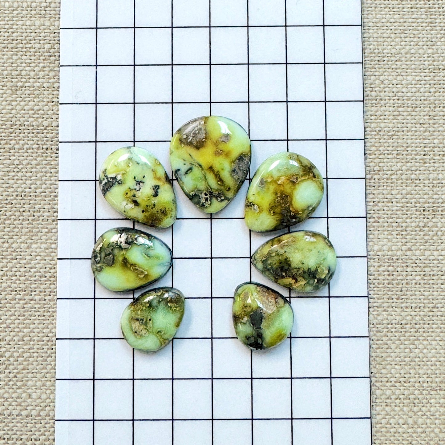 Palomino Cabochon Set