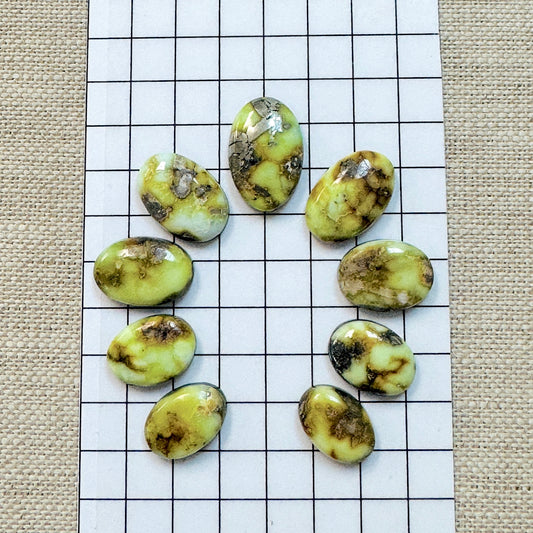 Palomino Cabochon Set