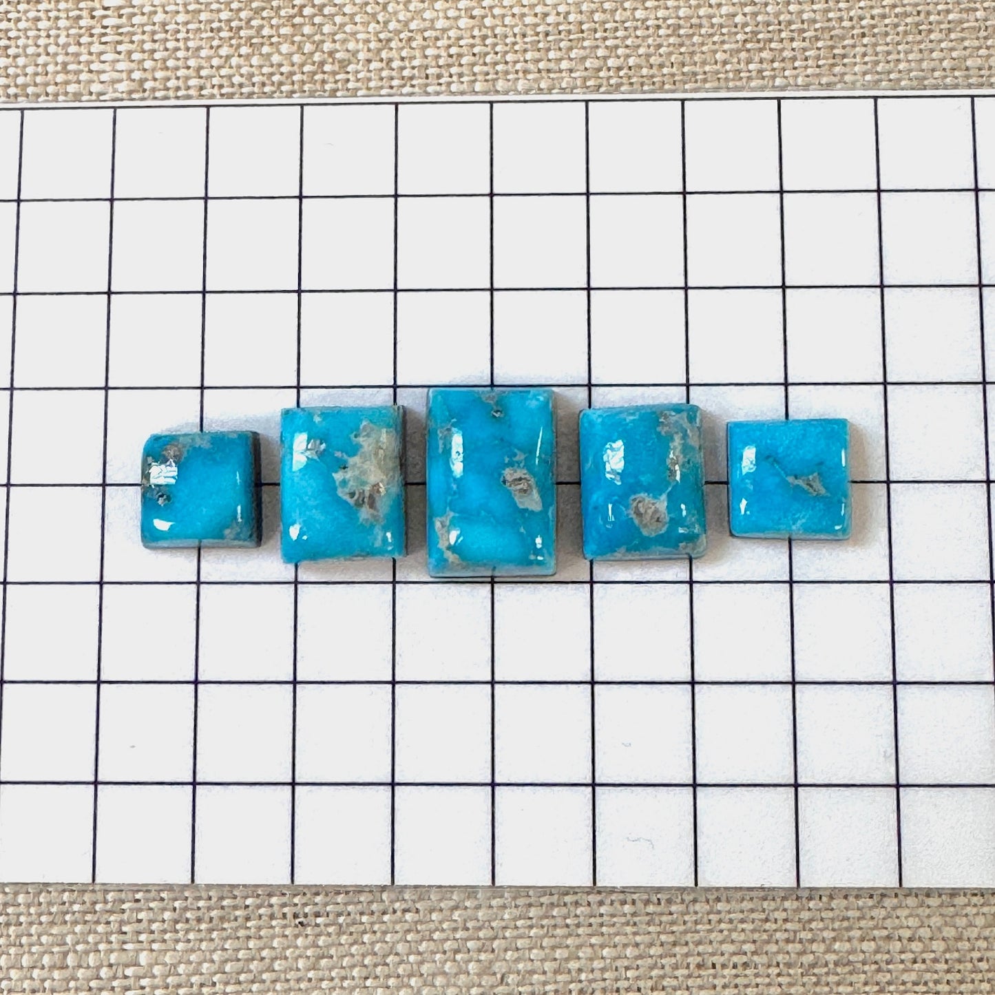 Bluebird Turquoise Cabochon Set