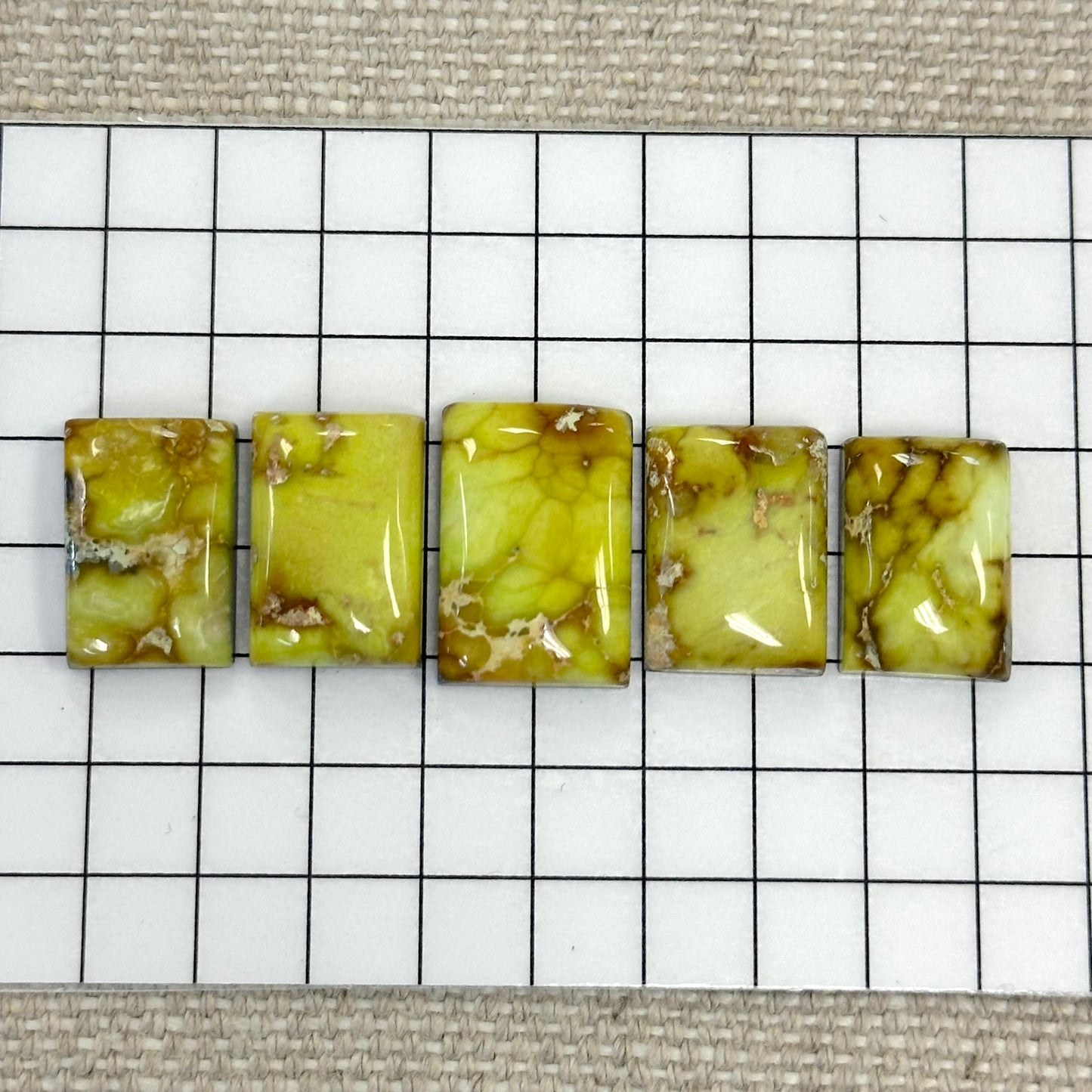 Palomino Cabochon Set