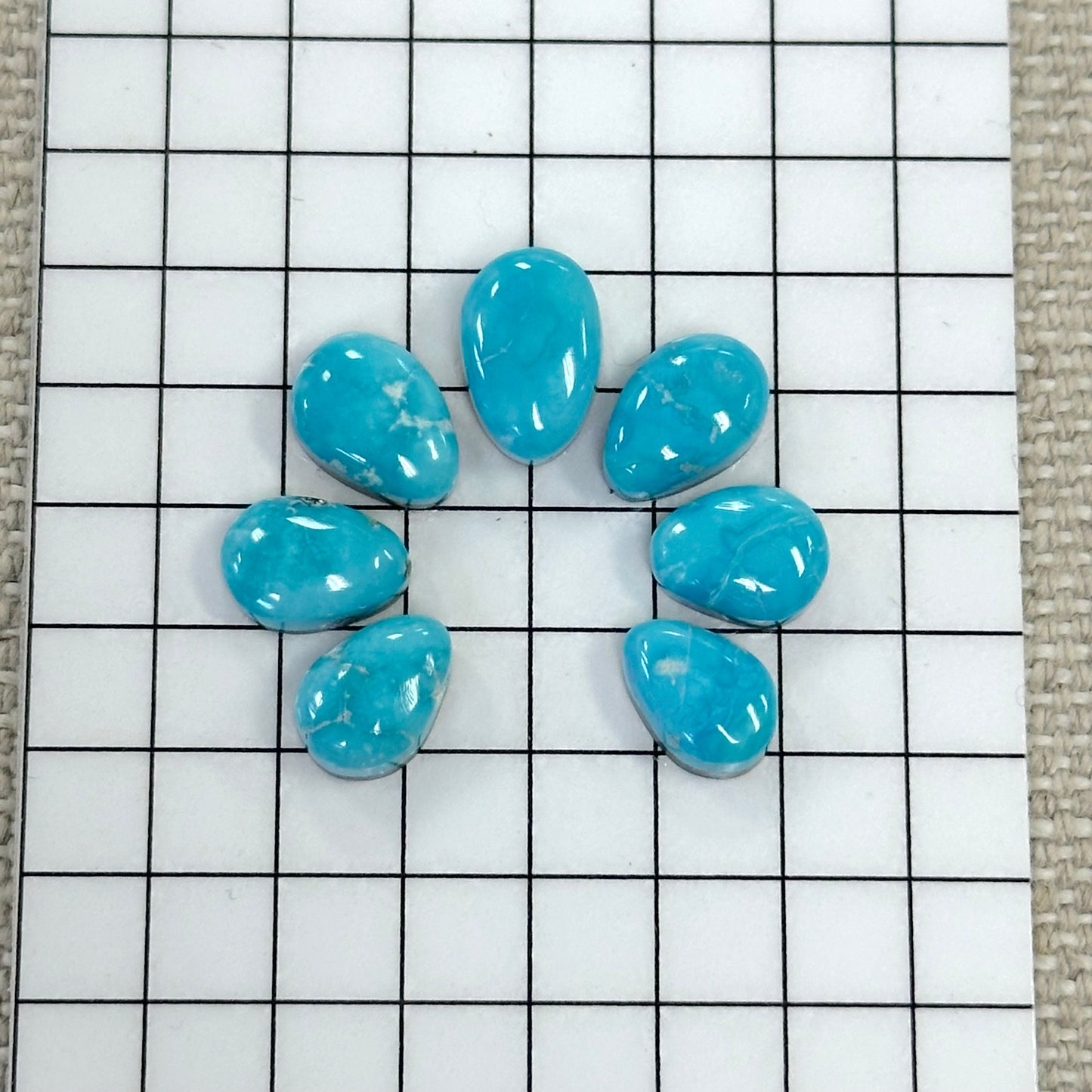 Bluebird Turquoise Cabochon Set