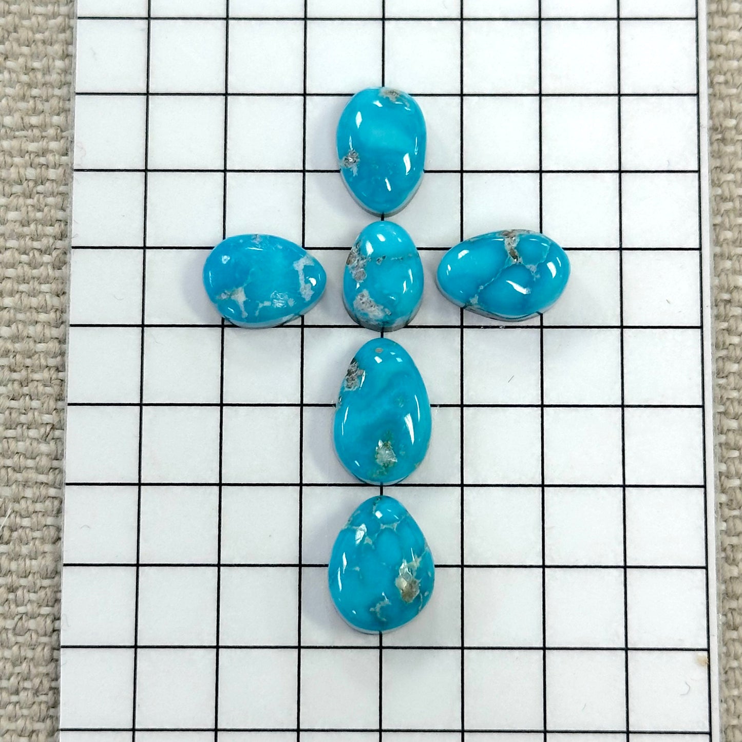 Bluebird Turquoise Cabochon Set