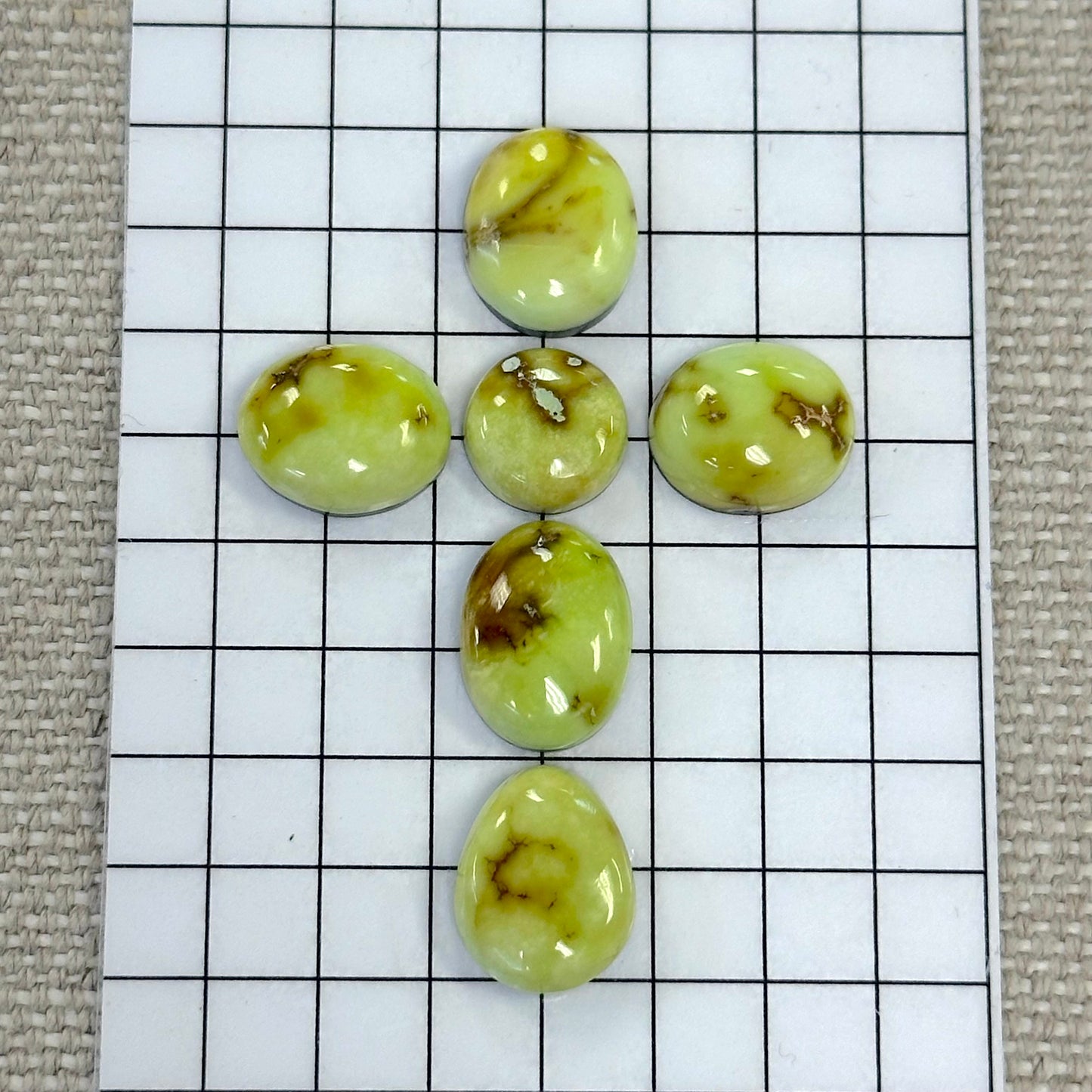 Palomino Cabochon Set