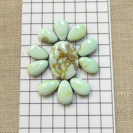 Palomino Cabochon Set