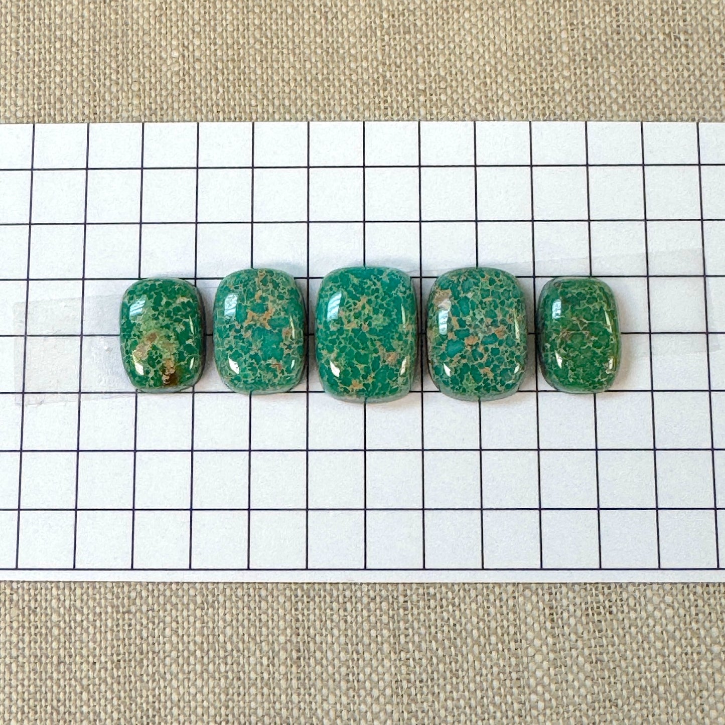 Catalina Turquoise Cabochon Set