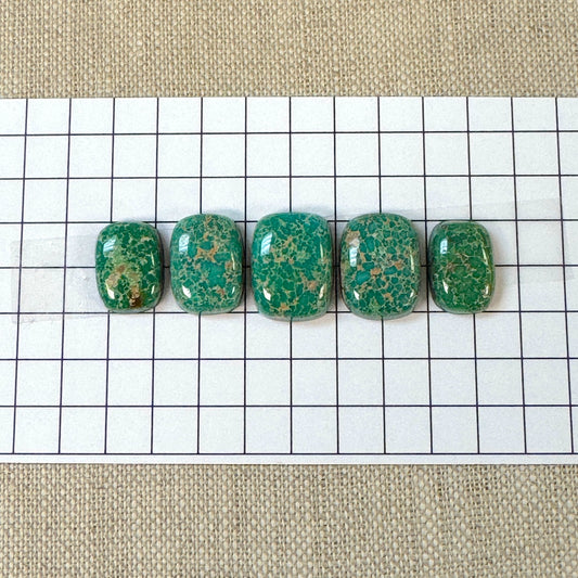 Catalina Turquoise Cabochon Set