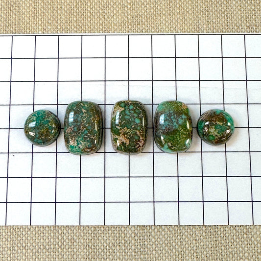 Catalina Turquoise Cabochon Set