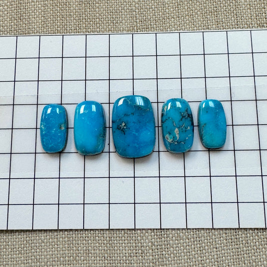 Kingman Ithaca Turquoise Cabochon Set